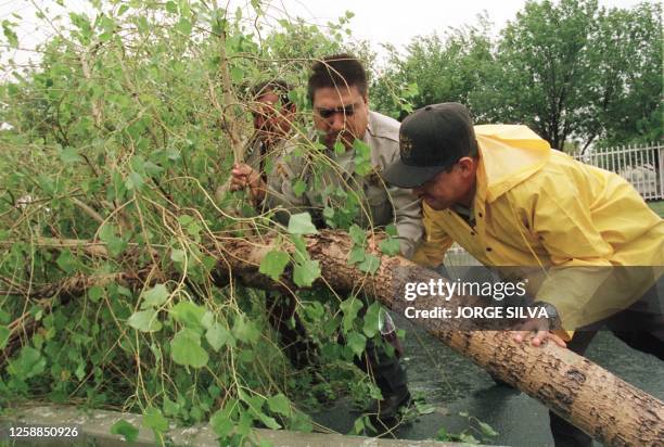 Police of Nuevo Laredo, Mexico, clean up a street in their city 23 August after a tree fell across it as Hurricane Bret rolled through the...