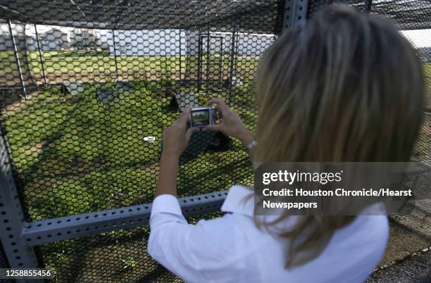 Houston Chronicle, News Photo