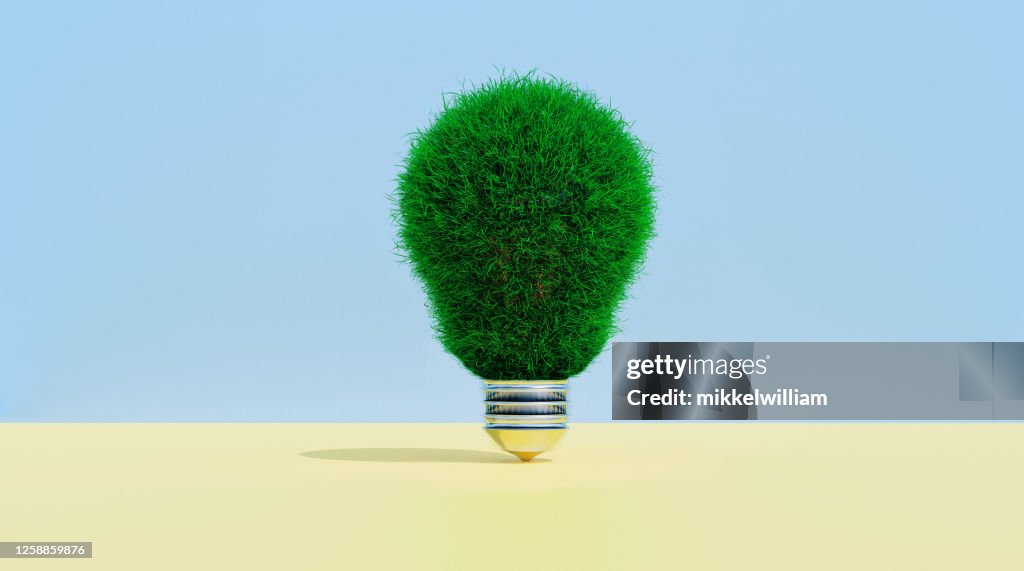 Ampoule couverte d’herbe montre concept de penser vert
