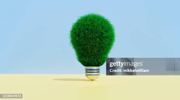 light bulb covered in grass shows concept of thinking green - house price imagens e fotografias de stock