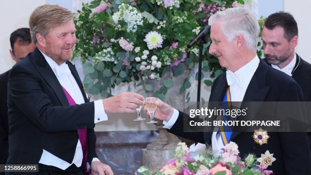 Dutch King Willem-Alexander and King Philippe - Filip of Belgium make a toast after the speech at the state banquet at the Royal Castle, on the first...