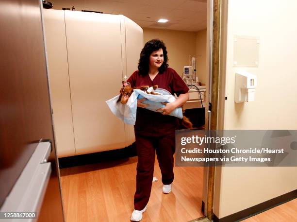 Kristi Moncrief, Registered MRI technician for Gulf Coast Veterinary Neurology and Neurosurgery, carries a dog out of the MRI and into surgery,...