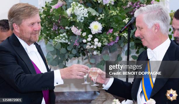 King Philippe of Belgium and King Willem-Alexander of Netherlands make a toast at the state banquet at the Royal Castle, on the first day of the...