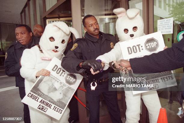 Peta Rabbit Short 21 Us Peta Rabbit Protest Stock Photos, High-Res Pictures, and Images ...