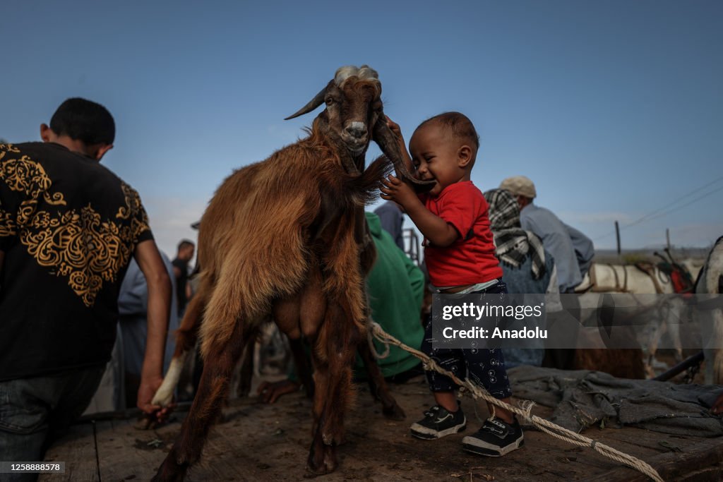 Eid al-Adha preparations in Gaza