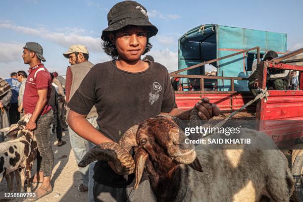 Boy holds a ram by its horns at a livestock market in Khan Yunis in the southern Gaza Strip on June 21 as Palestinians prepare for the upcoming...