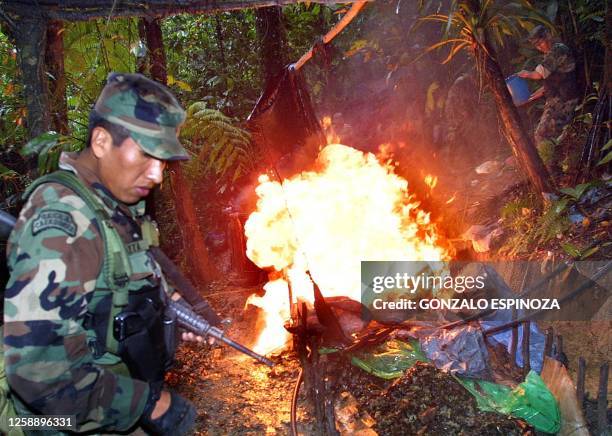 An anti-drug police agent watches as a cocaine plant discovered last 20th of May in Chapare, Bolivia goes down in flames 21 May 2002. AFP...