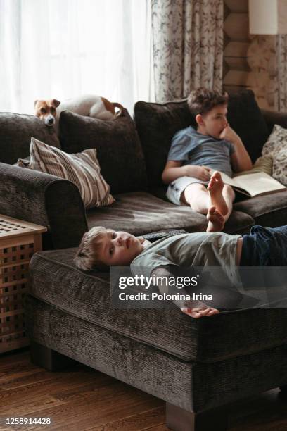 children watch tv at home. - family tv pet stock pictures, royalty-free photos & images