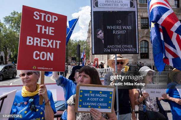 Anti-Brexit protesters continue their campaign against Brexit and the Conservative government in Westminster with a placard which asks where was...