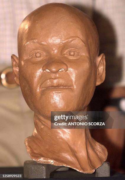 Reconstruction of the head of "Luzia", the oldest antique of a Brazilian women, was presented to the National Museum of History in Rio de Janeiro,...