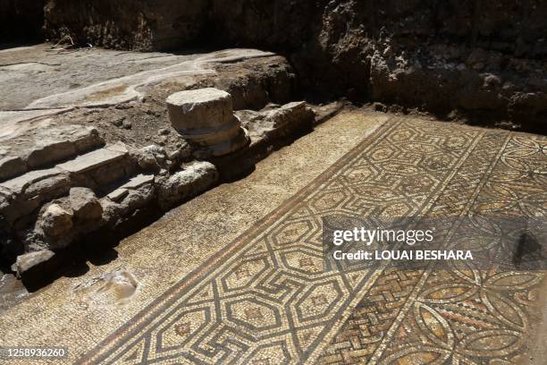 This picture shows a newly unearthed scene, in an area covered in mosaic that was discovered in October 2022, in the city of al-Rastan in Syria's...