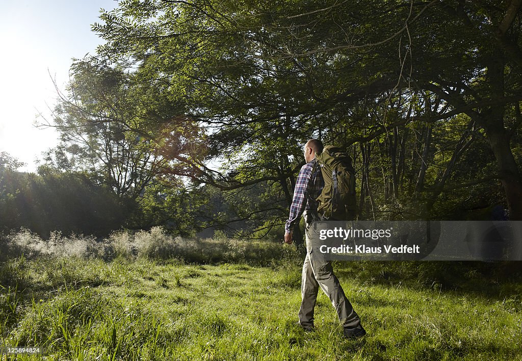 Man walking towards the sunrise threw forrest