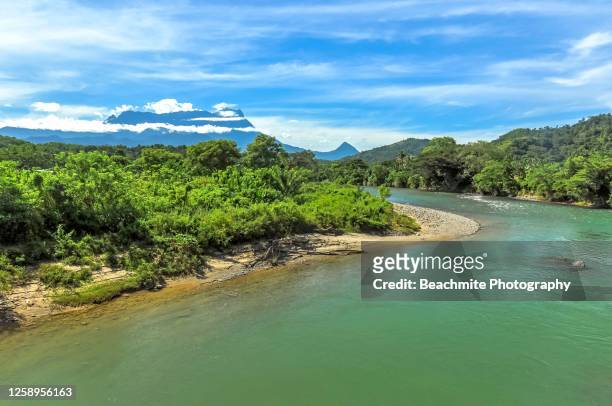 beautiful view of river and mountain in tropical sabah, malaysian borneo - isla de borneo fotografías e imágenes de stock