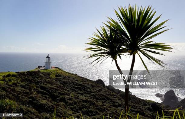 Photo taken on May 30, 2023 shows the lighthouse at Cape Reinga at the northern tip of New Zealand where the Tasman Sea meets the Pacific Ocean. Cape...