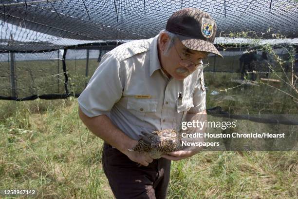 Wildlife biologist Mike Morrow carries an Attwater's prairie chicken into a holding pen after tagging fitting with a radio transmitter at the...