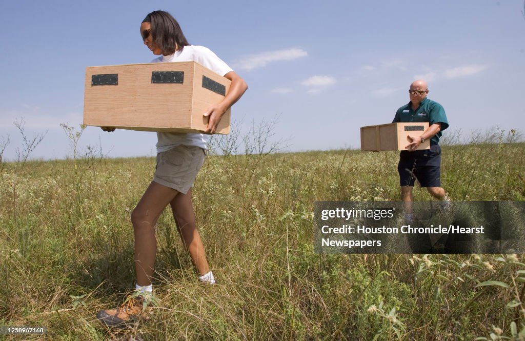 Houston Chronicle