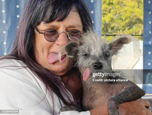 June 2023, USA, Petaluma: Scooter, a seven-year-old Chinese crested dog, is held by his owner Linda Elmquist after winning first place in the...