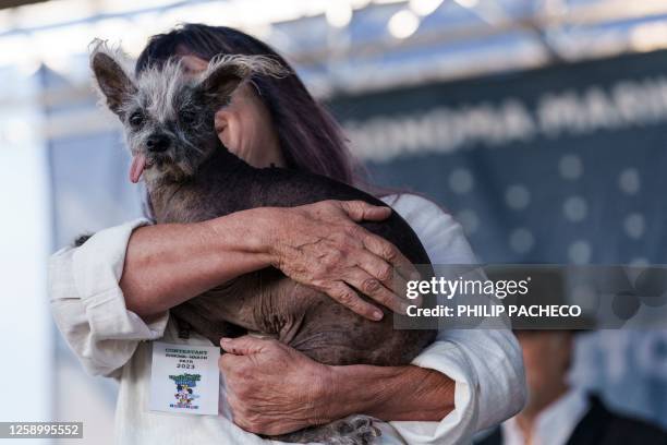 US-ANIMAL-DOG, News Photo