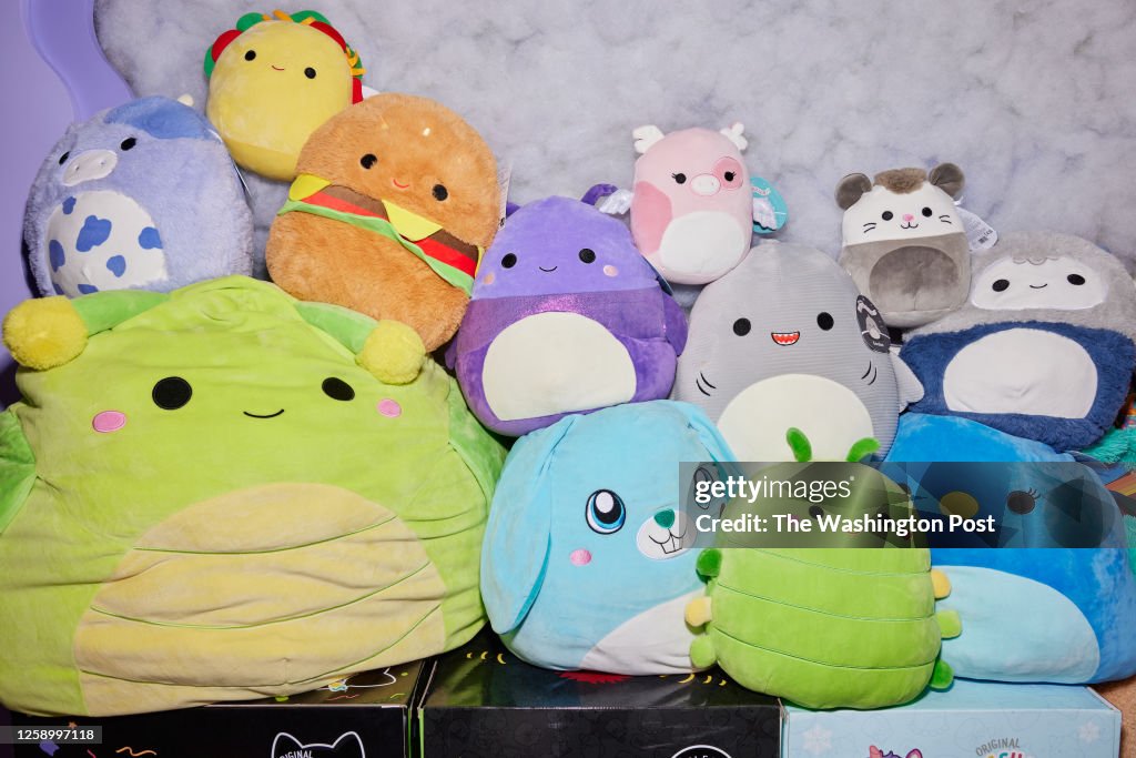 Carter Kench's collection of squishmallows at his home on June 16