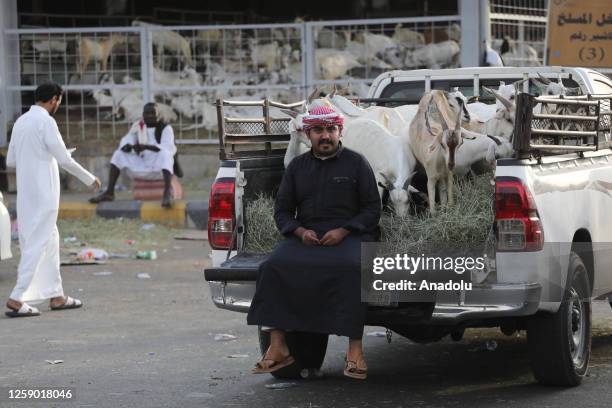 Goats and sheep are seen at a livestock market ahead of Muslim holy festival Eid-Al-Adha in Mecca, Saudi Arabia on June 24, 2023. Muslims around the...