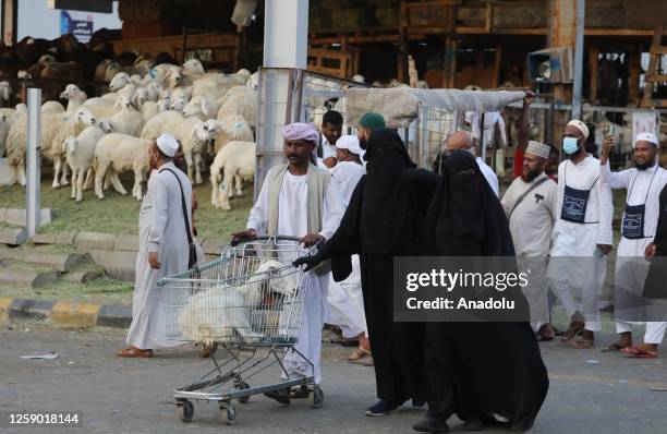 Goats and sheep are seen at a livestock market ahead of Muslim holy festival Eid-Al-Adha in Mecca, Saudi Arabia on June 24, 2023. Muslims around the...