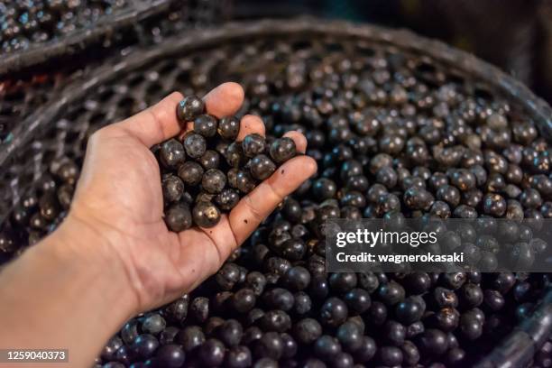 fresh acai fruits displayed for sale at belem do para - acai berry stock pictures, royalty-free photos & images