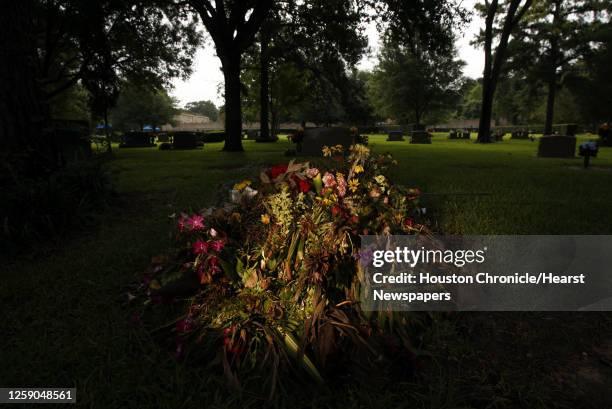 David Ritcheson 57 Earthman Stock Photos, High-Res Pictures, and Images - Getty Images