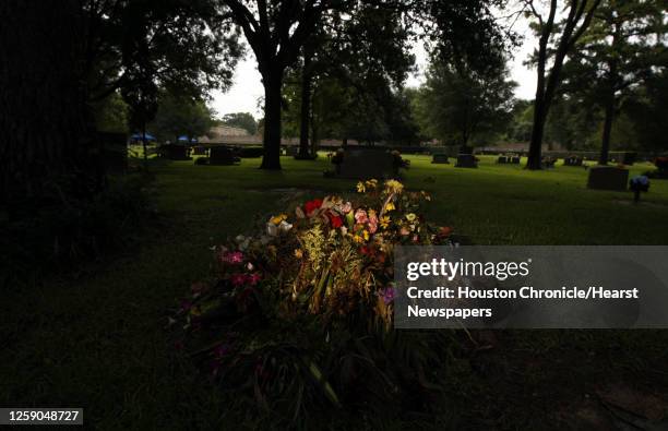 David Ritcheson 57 Earthman Stock Photos, High-Res Pictures, and Images - Getty Images