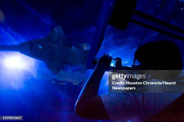 Ten-year-old John Thibodeaux photographs a sawfish from the train during a shark feeding at the Downtown Aquarium Saturday, Aug. 1 in Houston.