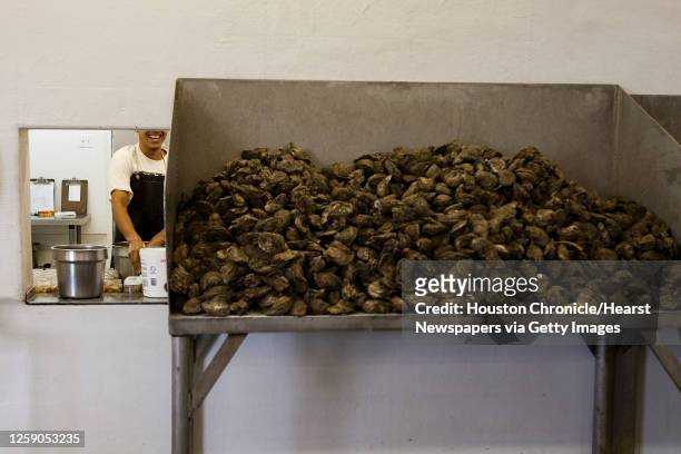 Oysters inside Jeri's Seafood after being harvested from a reef in Galveston's East Bay Monday, Aug. 17 in Smith Point.