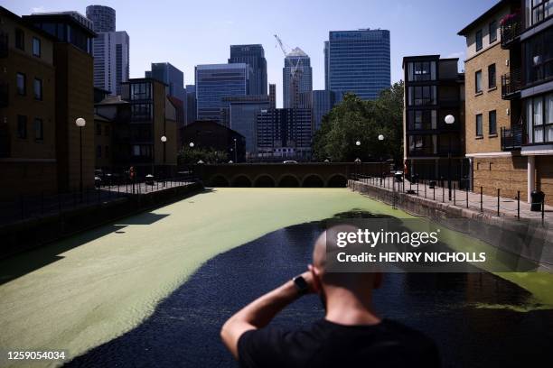 Man looks at the water in s dock covered in duckweed, also called lemnoideae, by the river Thames, on the Isle of dogs, facing Canary Wharf district,...