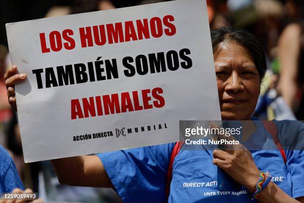 Woman holds a banner while several welfare and anti-speciesist organizations and the general public march from the Angel de la Independencia to the...