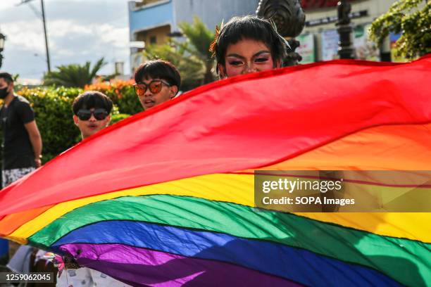 Member of the LGBTQ community holds a rainbow flag during a Pride march in Biñan City. Various LGBTQ groups across the Philippines march and...