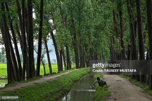 Labourer washes utensils in a canal on the outskirts of Srinagar on June 26, 2023.