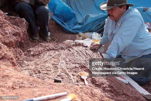 Longtime Houston Museum of Natural Science volunteer Johnny Castillo works during a Houston Museum of Natural Science paleontologist team field...