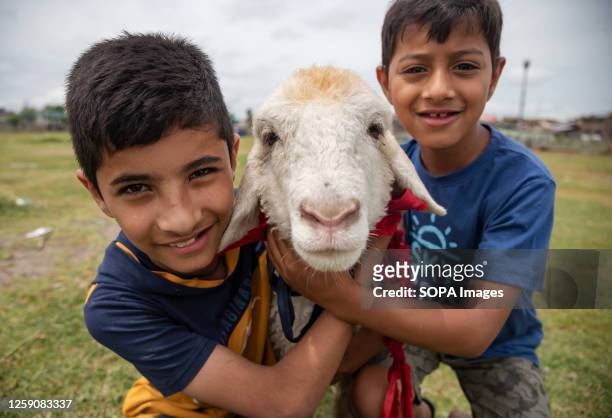 Kashmiri kids hold a sheep at a livestock market ahead of Islamic festival Eid ul Adha. Eid-Ul-Adha, also known as the "Festival of Sacrifice" or...