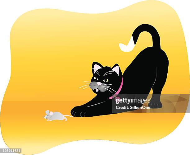 A cute cat catches nuisance mouse Royalty Free Vector Image