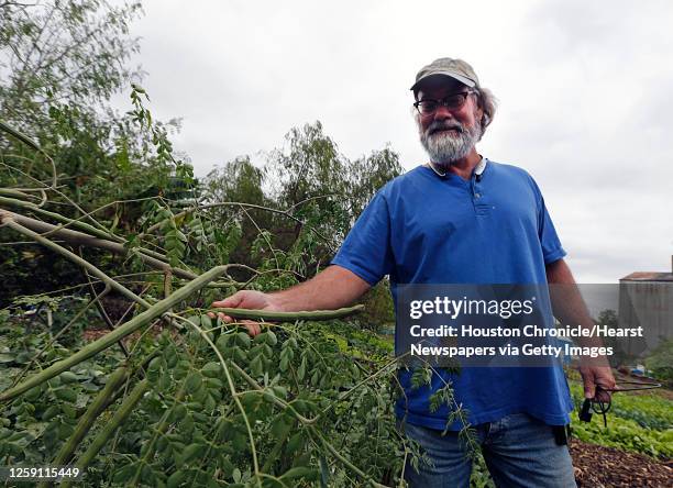 Last Organic Outpost founder Joe Icet holds a seed pod of a moringa tree Monday, Oct. 26 in Houston. Icet runs an urban farm in the Fifth Ward.