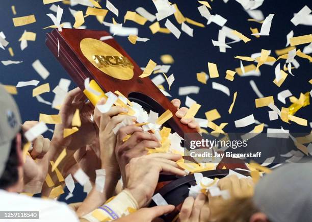 The NCAA World Series Championship trophy is hoisted up by the LSU Tigers after winning the NCAA College World Series baseball finals against the...