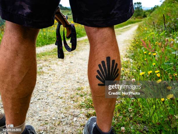 Pilgrim is having a shell tattooed on one of his legs. In Galicia, on May 27th, 2023.