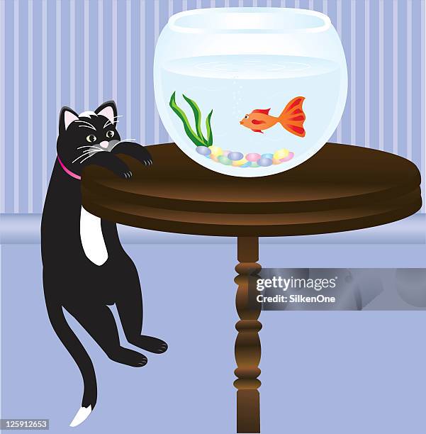 peeping tom - cat hanging stock illustrations