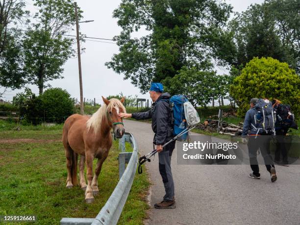 Pilgrim is seen petting a horse while walking the Camino Primitivo way, in Asturias, Spain. On May 22nd, 2023.