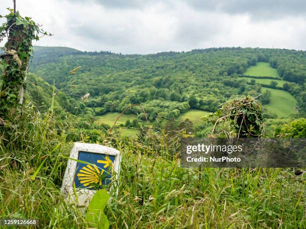 One of the marks with the yellow shell logo of the Camino de Santiago is almost hidden by the bushes while walking the Camino Primitivo, in Asturias,...