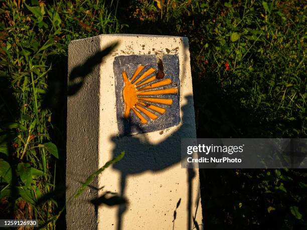 One of the marks with the yellow shell logo of the Camino de Santiago with the shadow of a pilgrim holding a walking stick, while walking the Camino...
