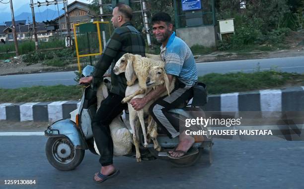 Man rides a scooter carrying sheep from a livestock market, ahead of the Eid al-Adha festival in Srinagar on June 27, 2023. Known as the "big"...