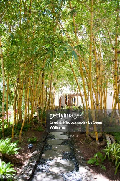 Bamboo Walking Path In Maui Resort High-Res Stock Photo