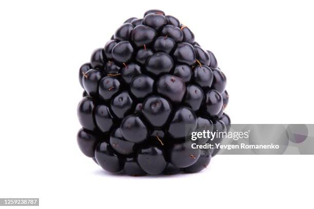 dewberry on white background - à maturité photos et images de collection