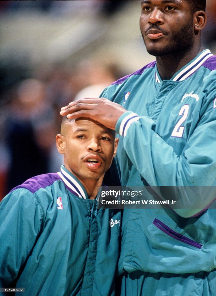 Bogues And Johnson