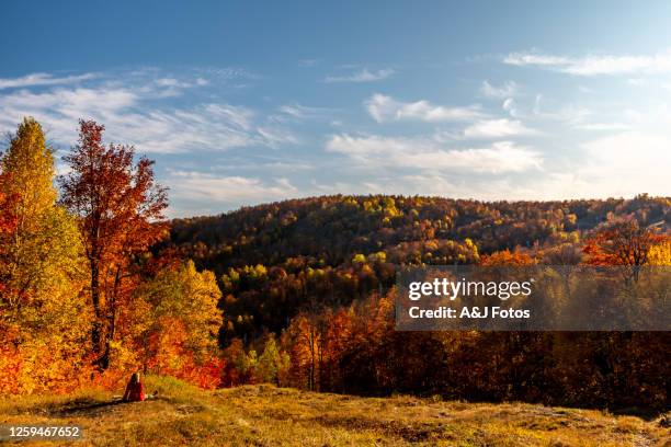 autumn in canada. - autumn stock pictures, royalty-free photos & images