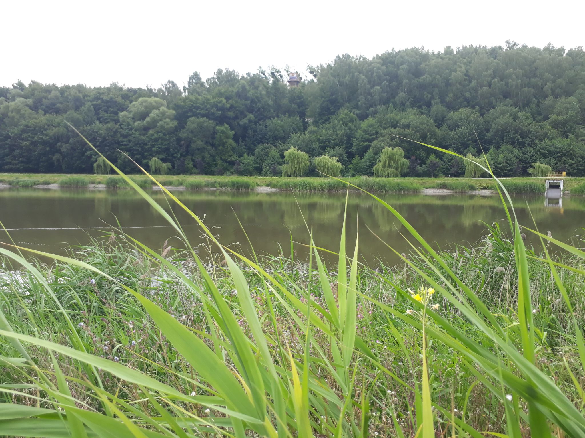 breza summer